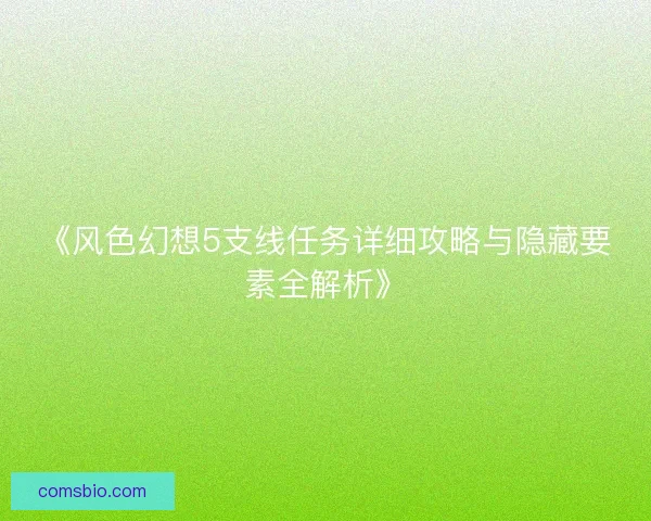 《风色幻想5支线任务详细攻略与隐藏要素全解析》