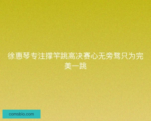 徐惠琴专注撑竿跳高决赛心无旁骛只为完美一跳